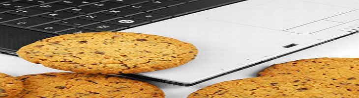 Privacy Policy & Cookies