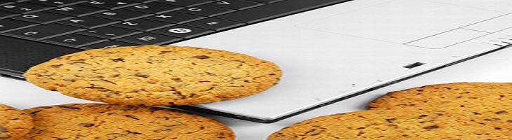 Privacy Policy & Cookies